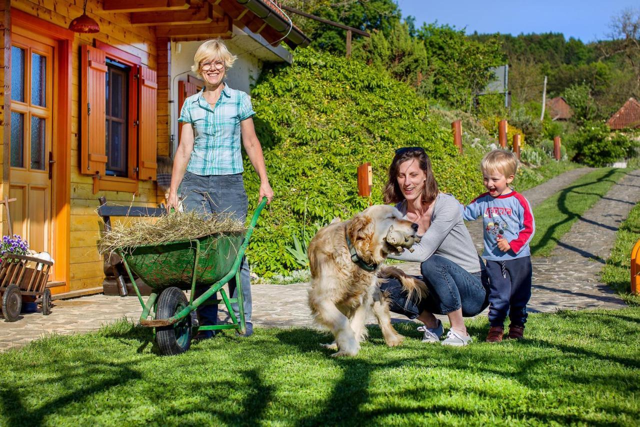Farm Stay Pirc Laško Exterior foto